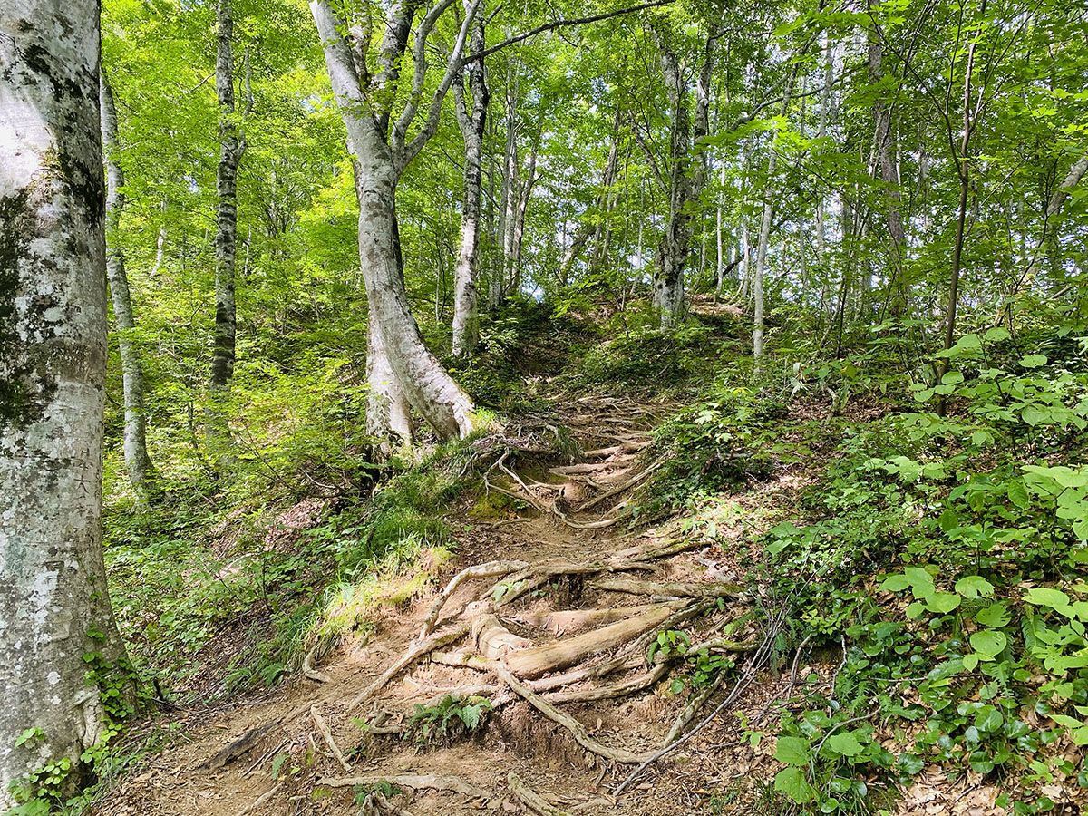 御沢野営場から飯豊山登山（切合小屋テント泊）