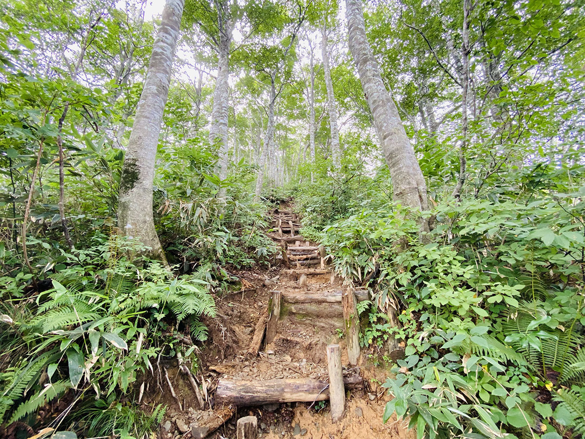 荒島岳登山（百名山）