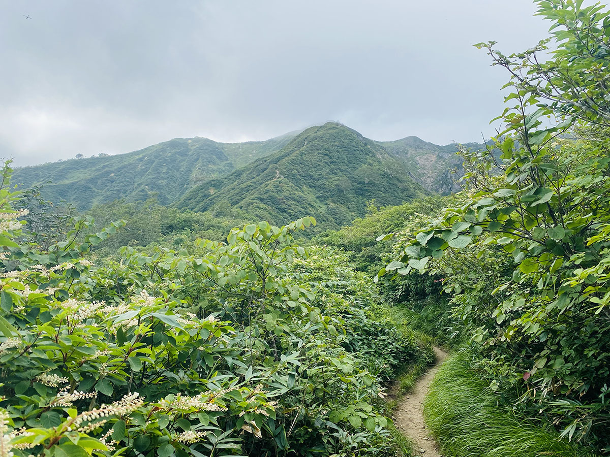 御沢野営場から飯豊山登山（切合小屋テント泊）