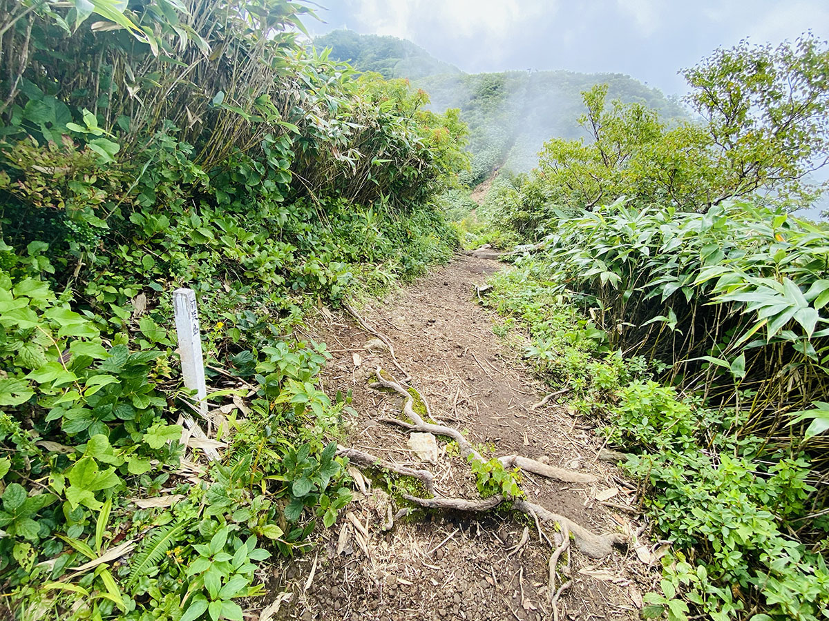 荒島岳登山（百名山）