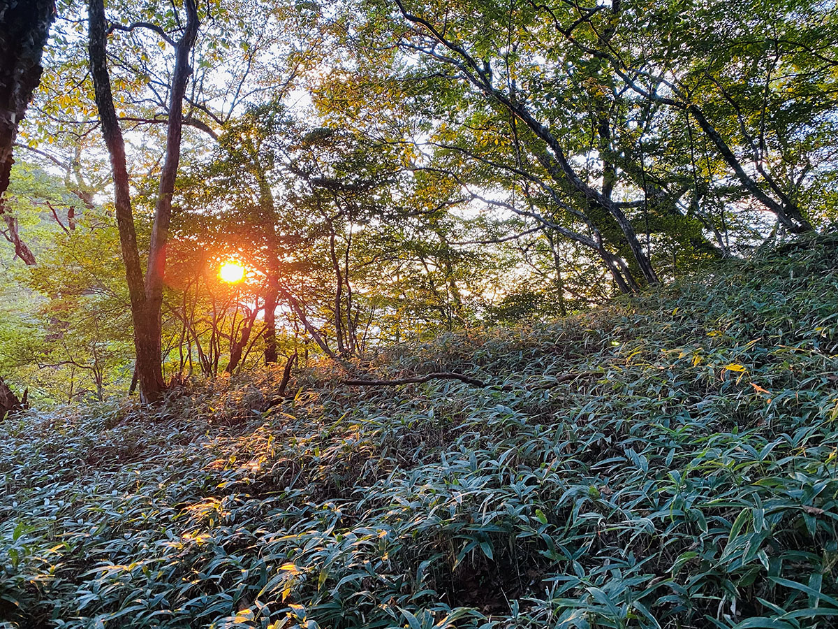 黒戸尾根から甲斐駒ヶ岳日帰り登山