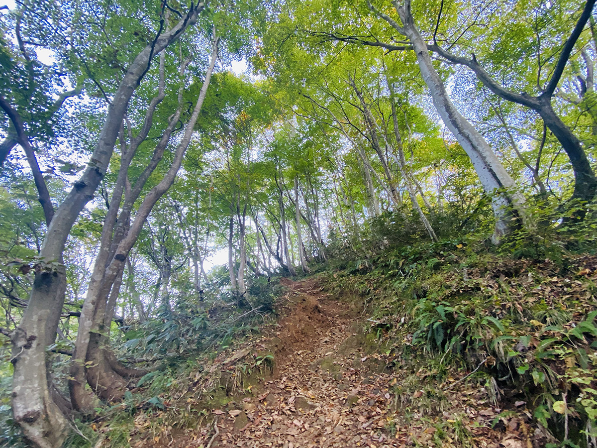 新潟県三条市粟ケ岳日帰り登山