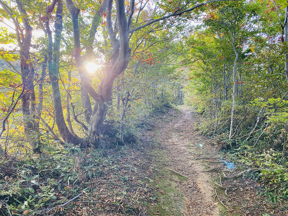 新潟県三条市粟ケ岳日帰り登山