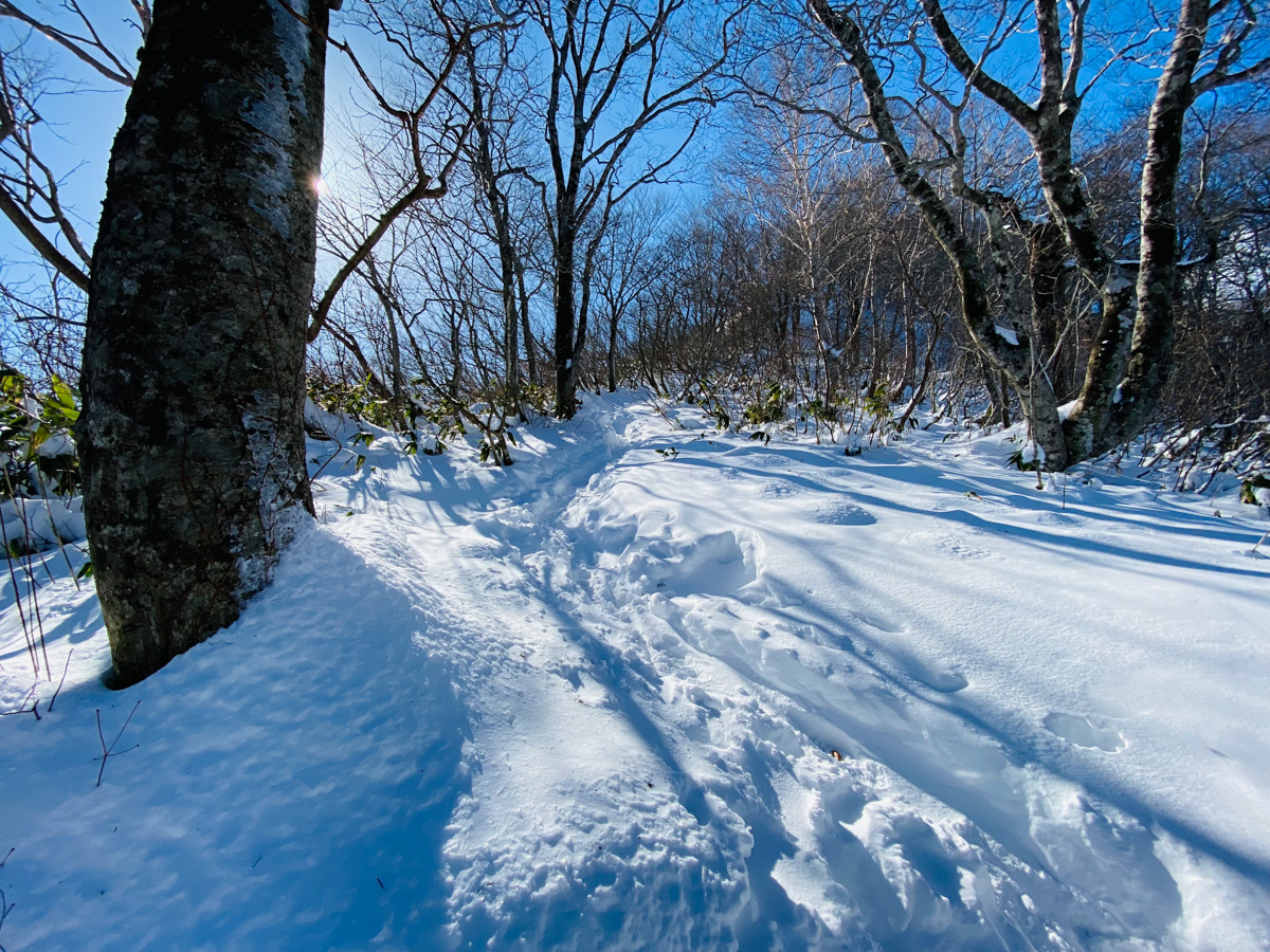 谷川岳（百名山）西黒尾根日帰り登山