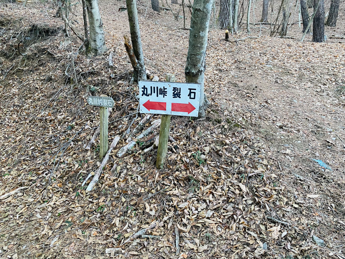 百名山・大菩薩嶺で日帰りソロ登山