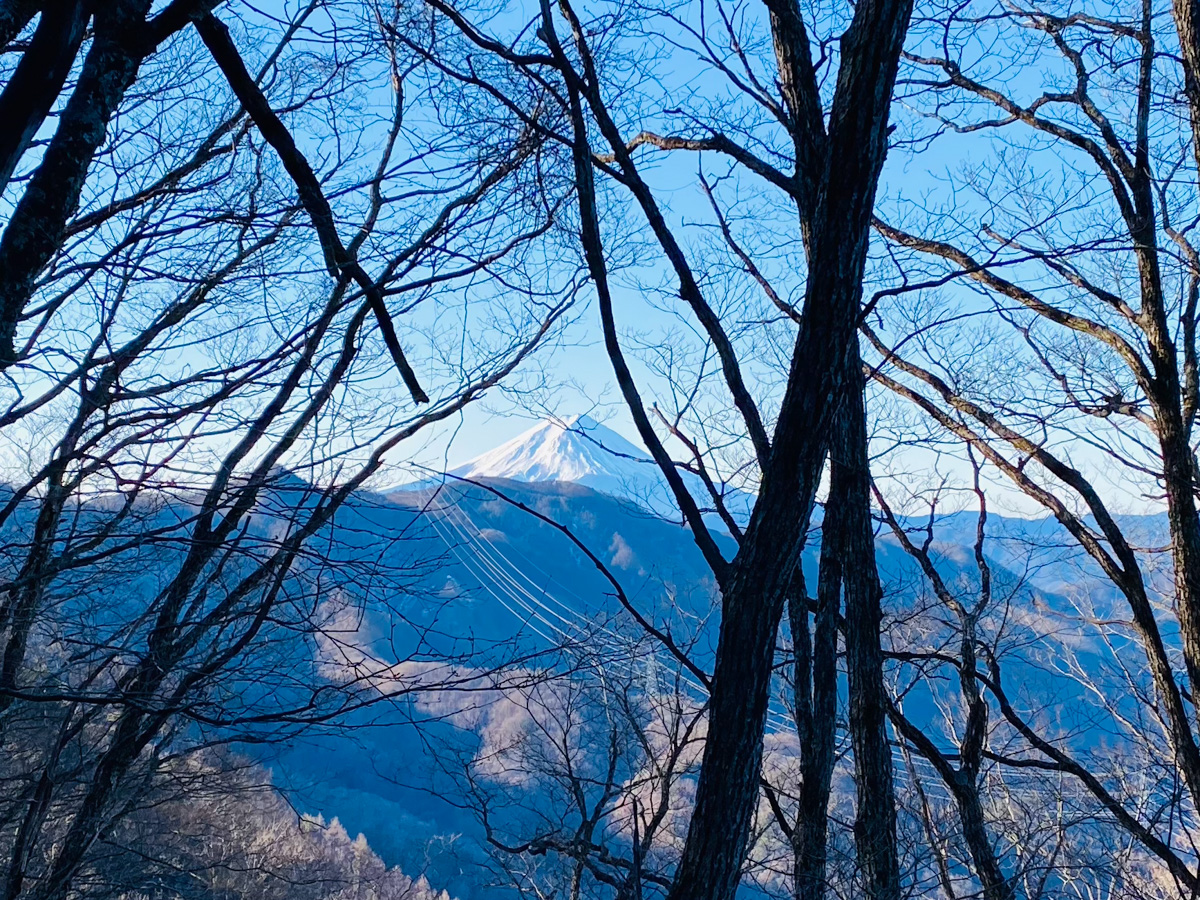 百名山・大菩薩嶺で日帰りソロ登山