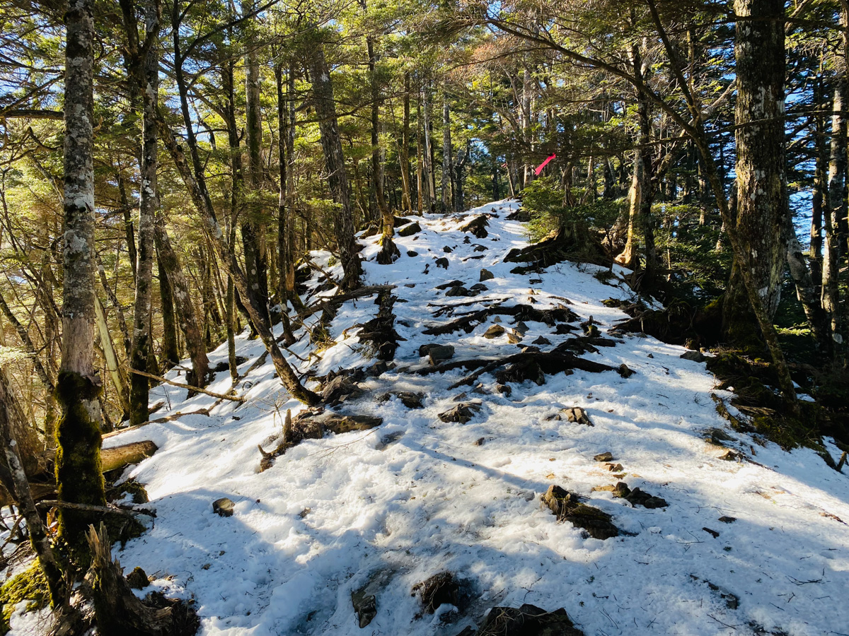 百名山・大菩薩嶺で日帰りソロ登山