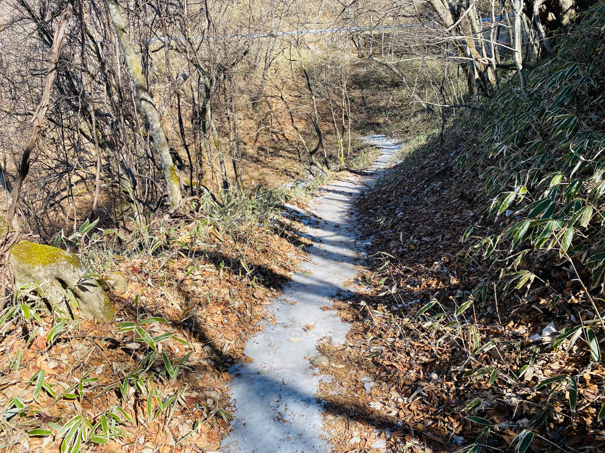 百名山・大菩薩嶺で日帰りソロ登山