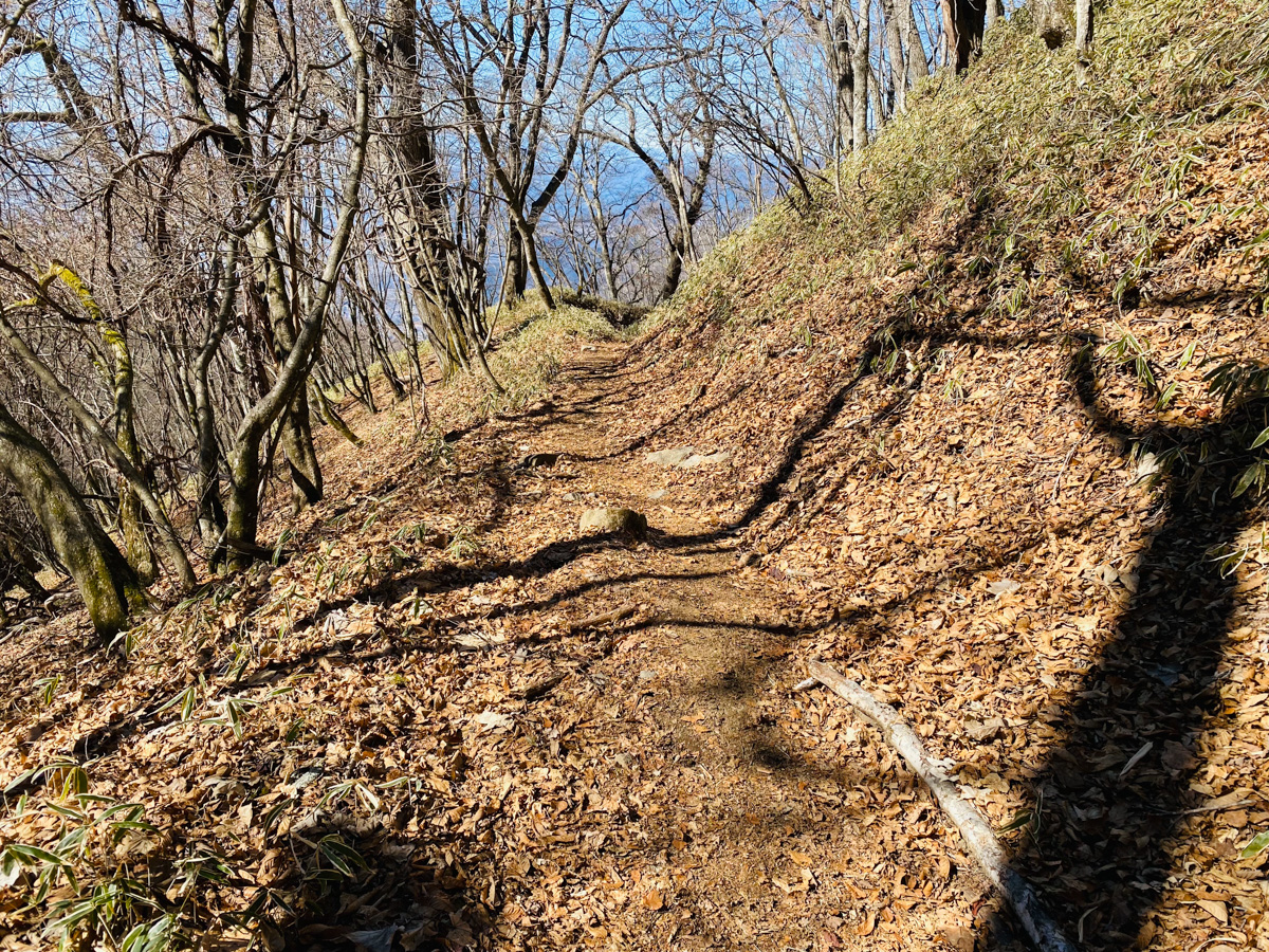 百名山・大菩薩嶺で日帰りソロ登山