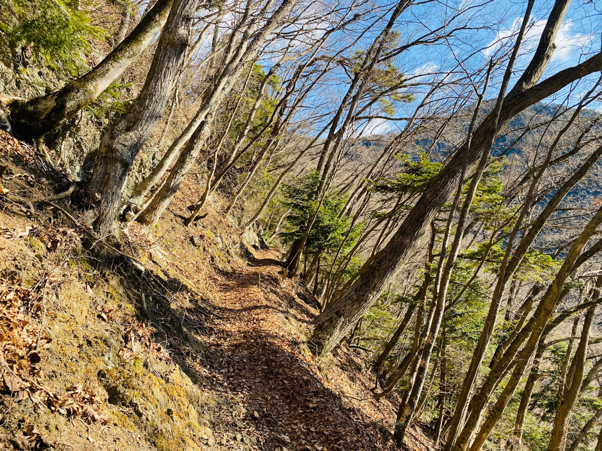 百名山・雲取山で日帰りソロ登山