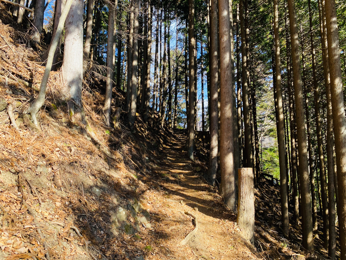 百名山・雲取山で日帰りソロ登山