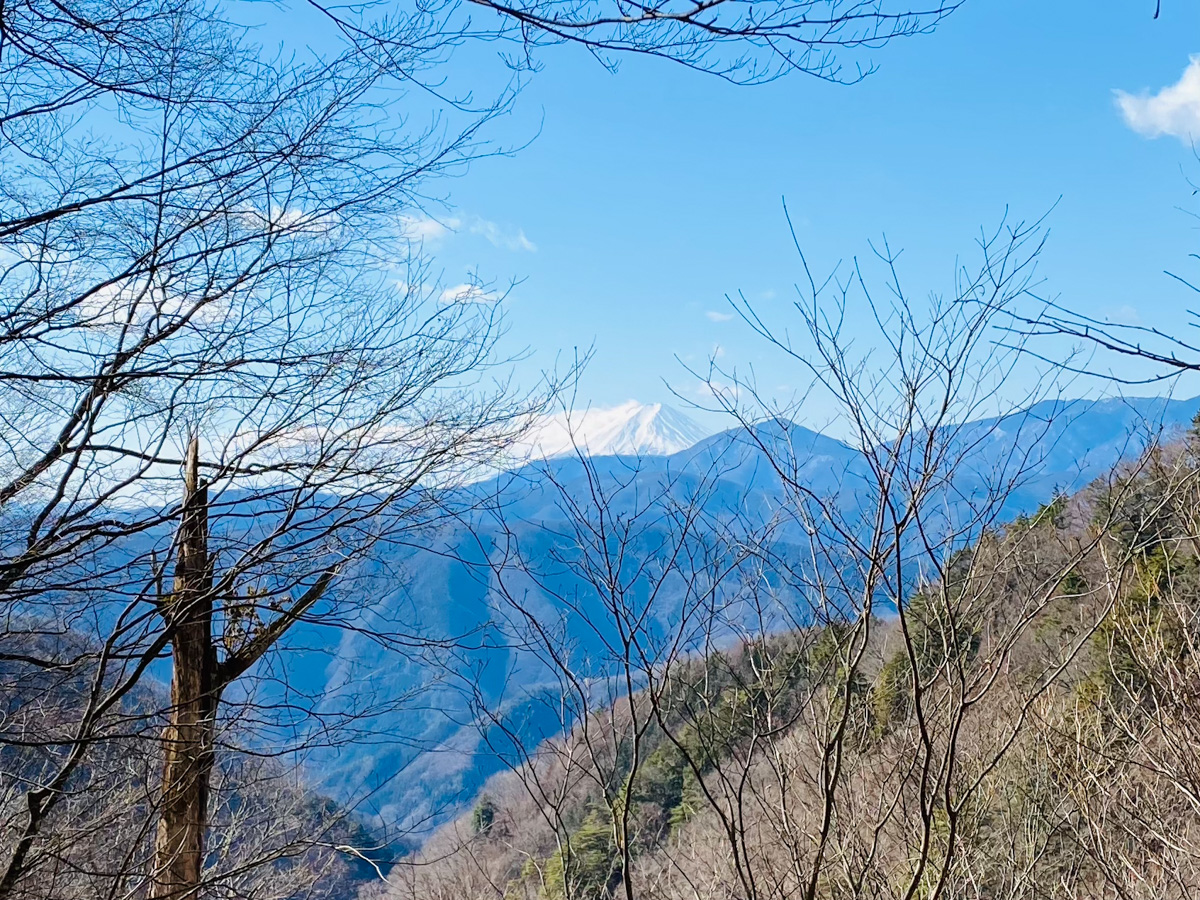 百名山・雲取山で日帰りソロ登山