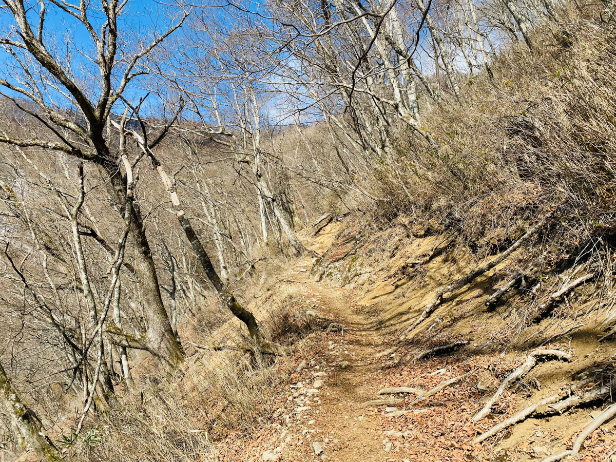 百名山・雲取山で日帰りソロ登山