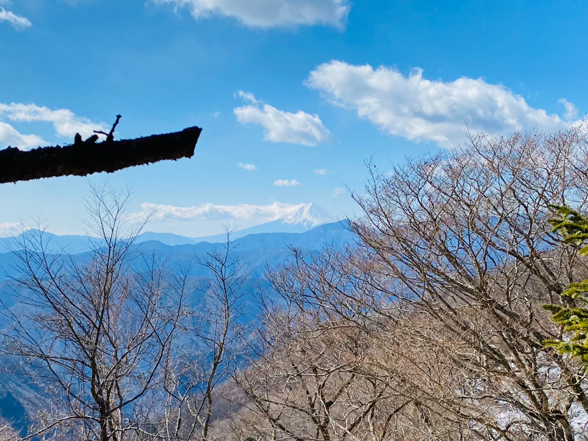 百名山・雲取山で日帰りソロ登山