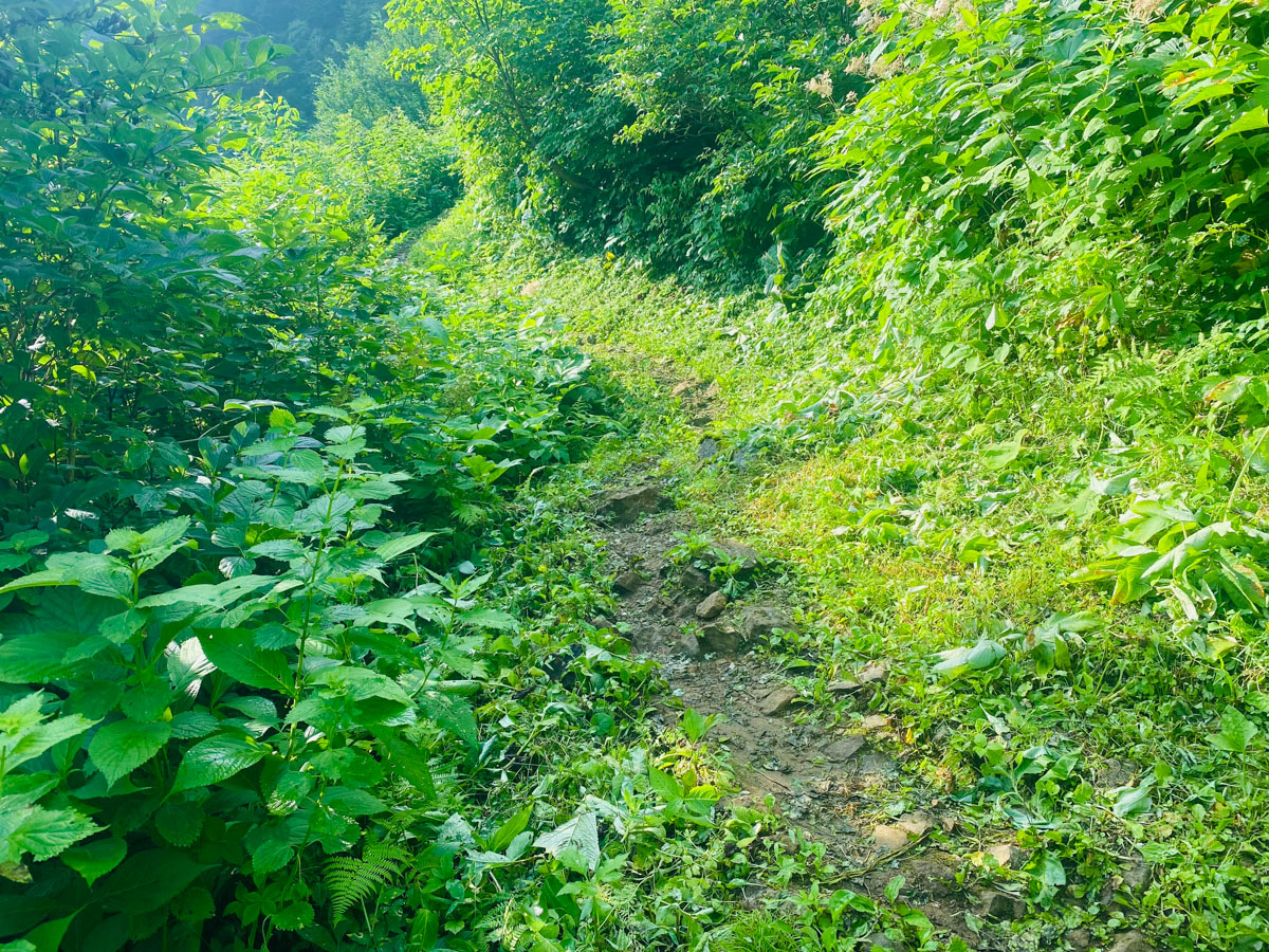 百名山・妙高山（新潟）の日帰り登山日記