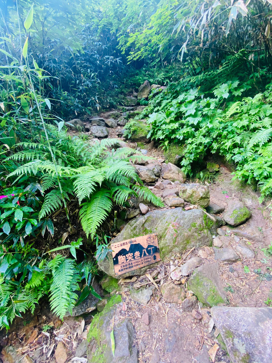 百名山・妙高山（新潟）の日帰り登山日記