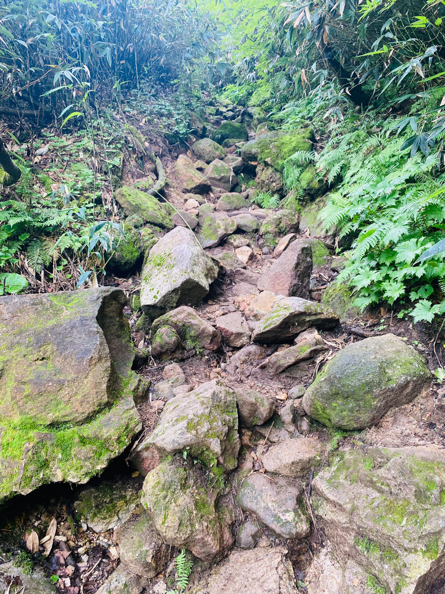 百名山・妙高山（新潟）の日帰り登山日記