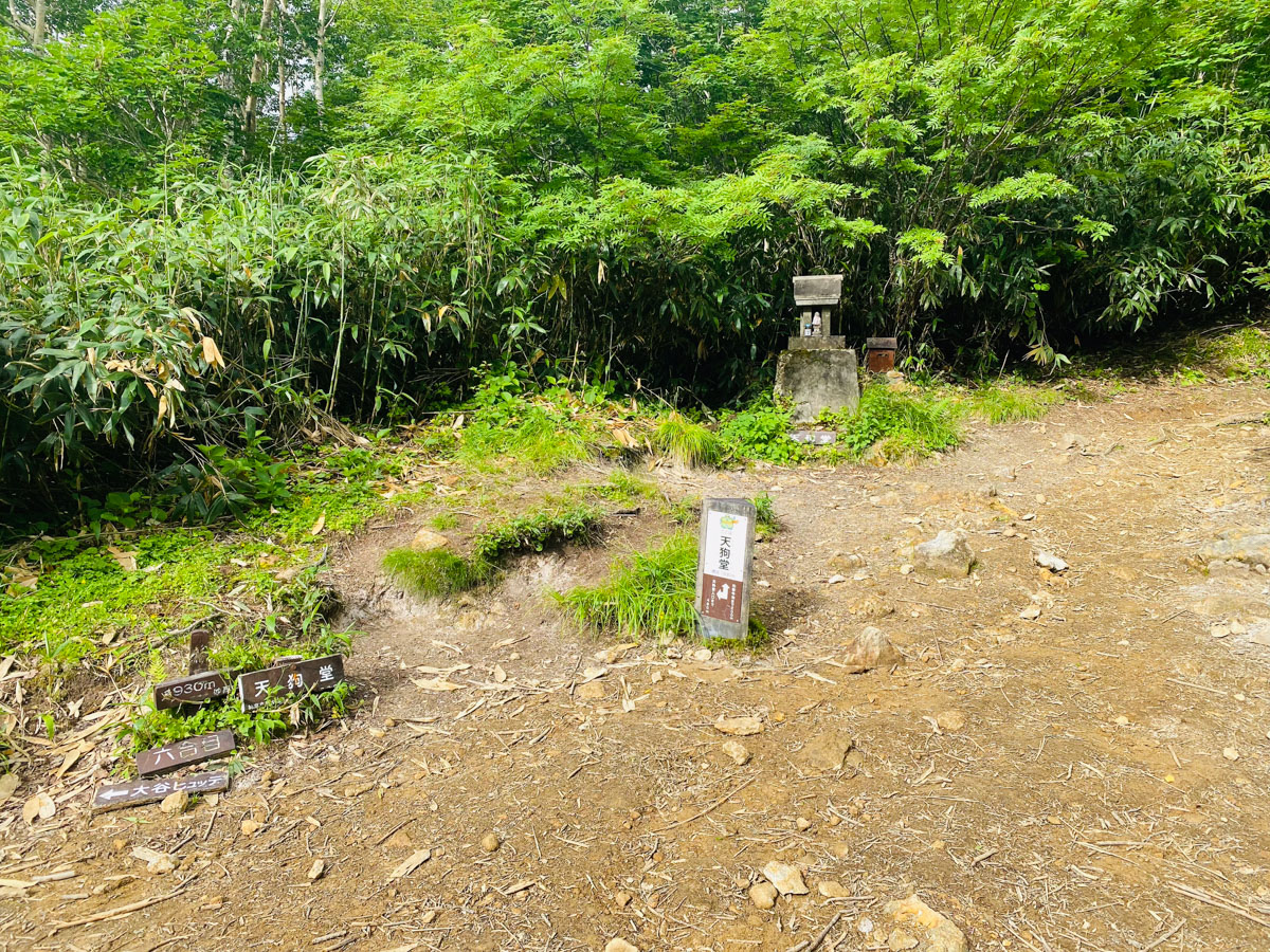 百名山・妙高山（新潟）の日帰り登山日記