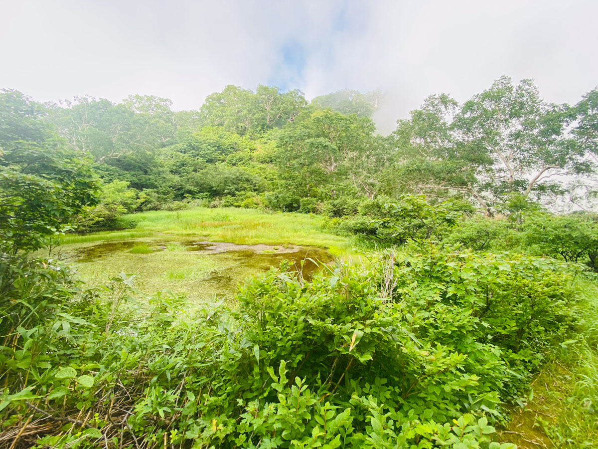 百名山・妙高山（新潟）の日帰り登山日記