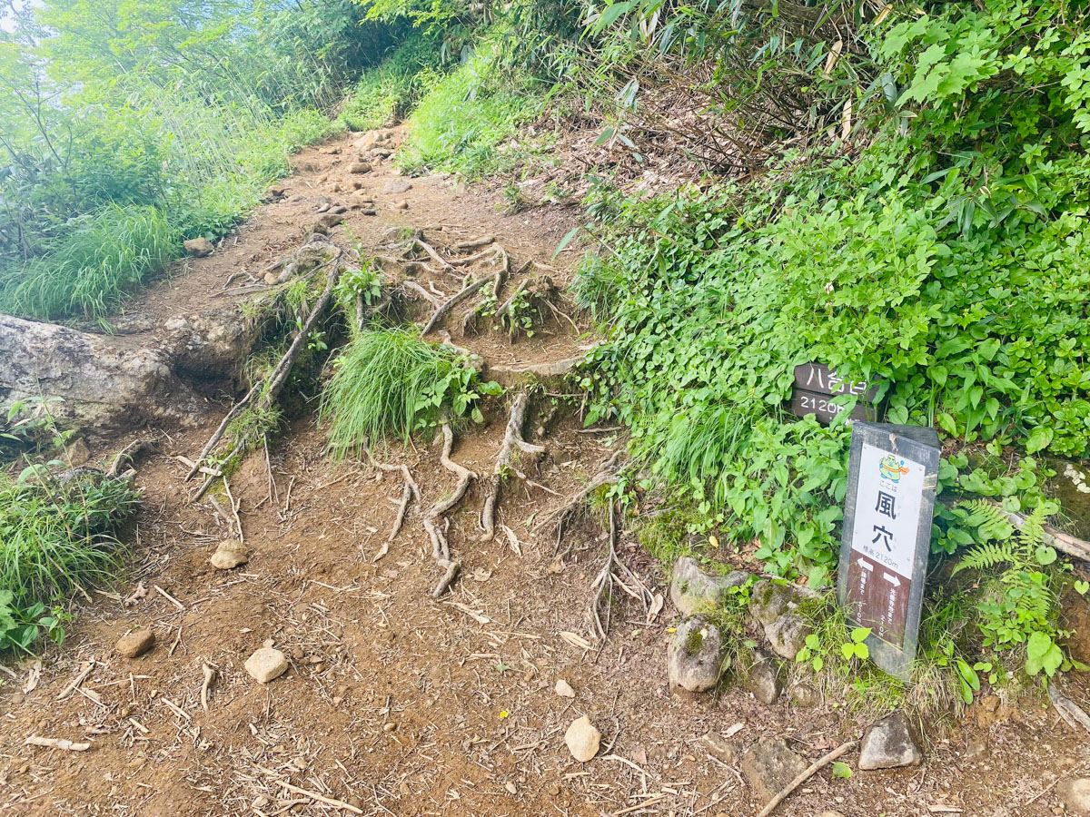 百名山・妙高山（新潟）の日帰り登山日記