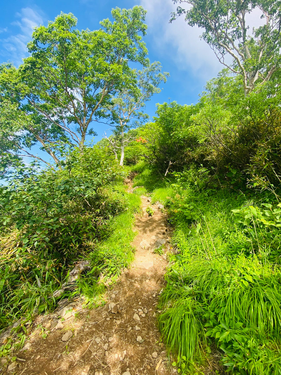 百名山・妙高山（新潟）の日帰り登山日記