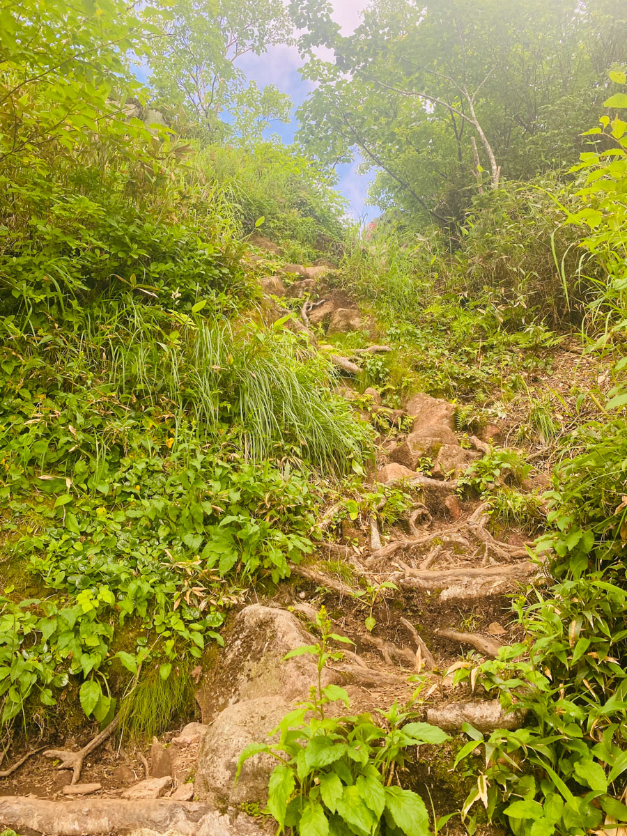 百名山・妙高山（新潟）の日帰り登山日記