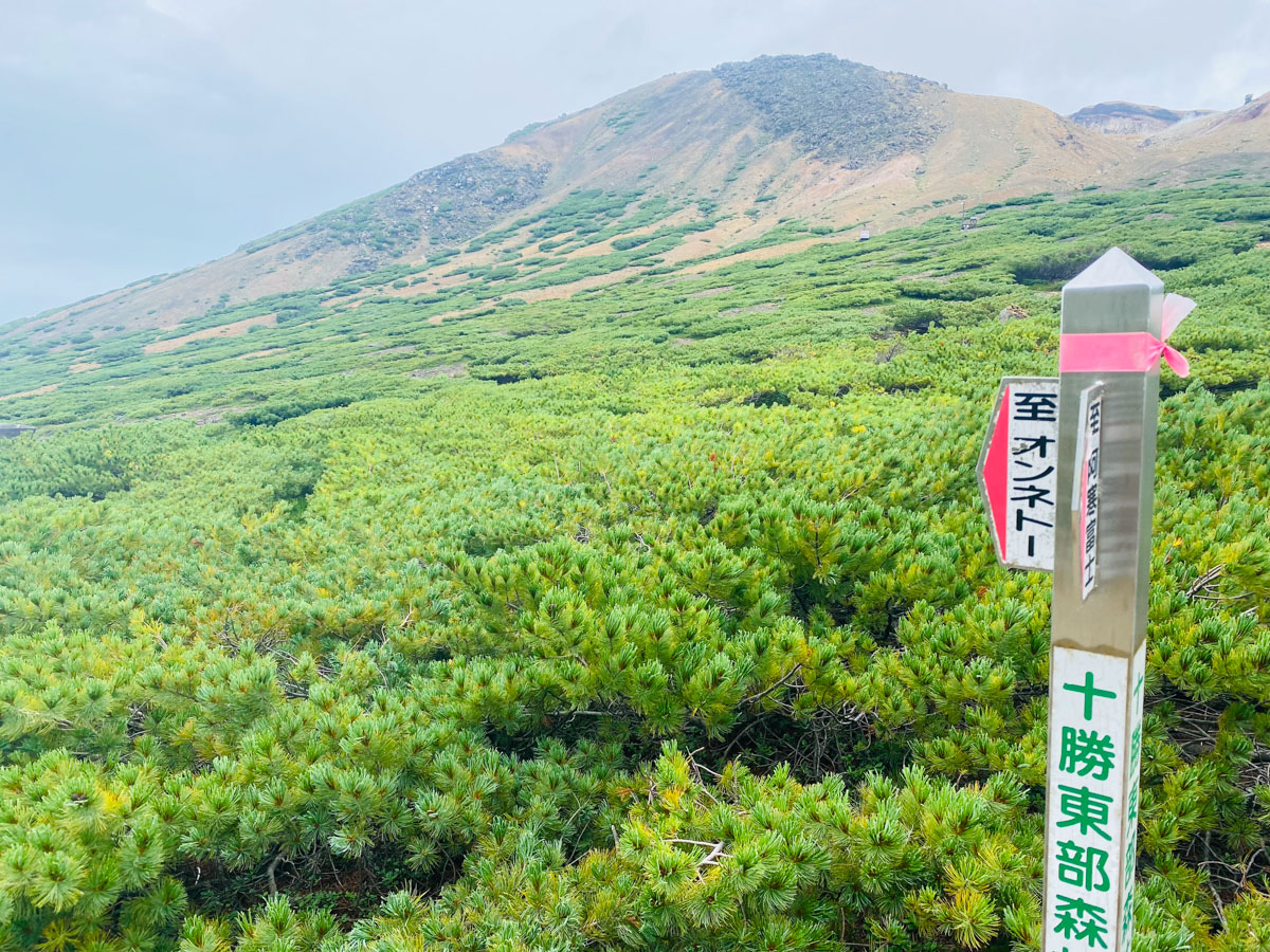 百名山・雌阿寒岳（北海道）日帰り登山日記