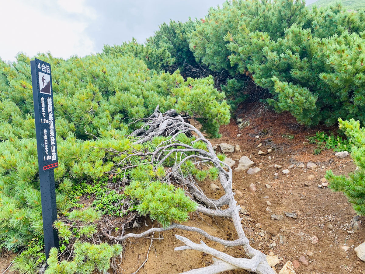 百名山・雌阿寒岳（北海道）日帰り登山日記