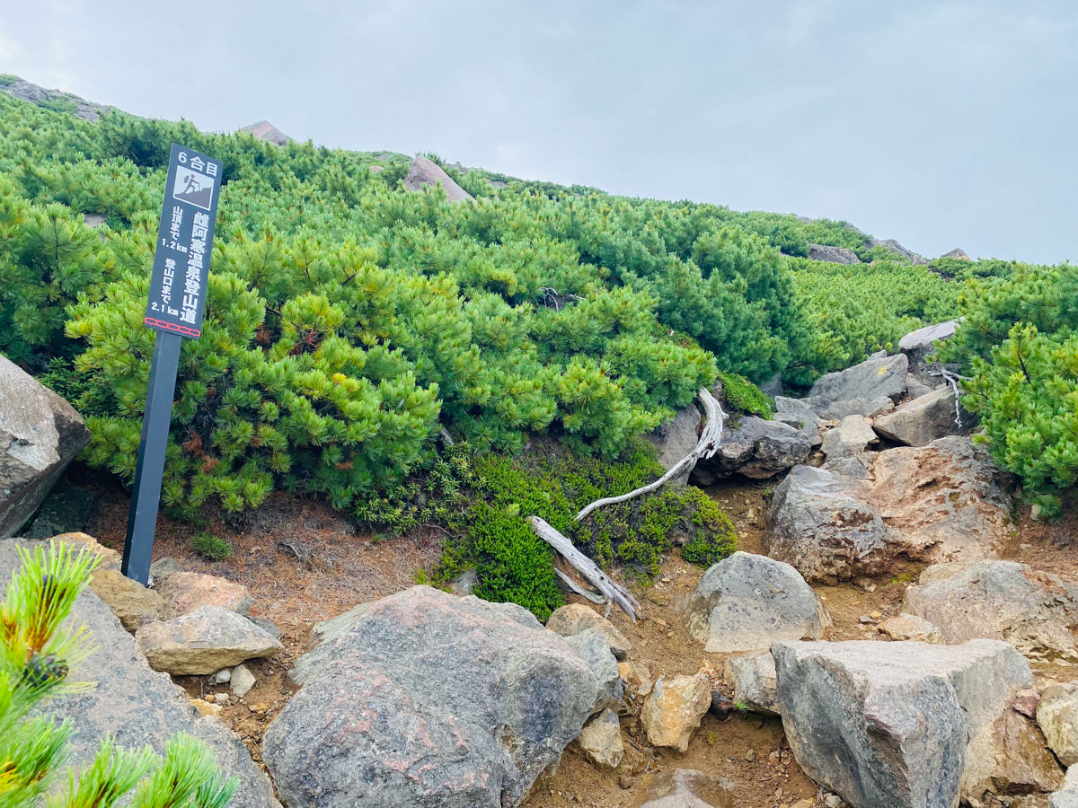 百名山・雌阿寒岳（北海道）日帰り登山日記