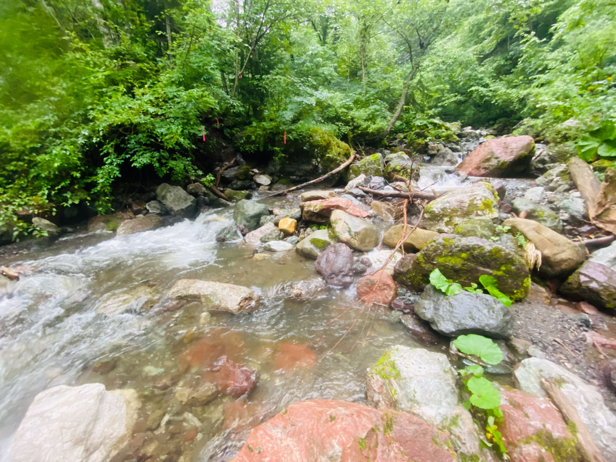 百名山・幌尻岳（北海道）日帰り登山日記