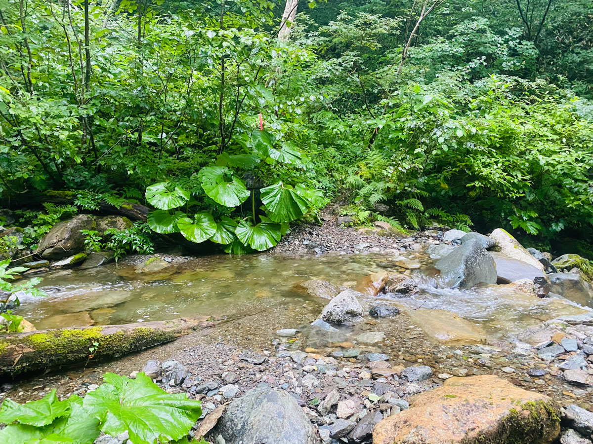 百名山・幌尻岳（北海道）日帰り登山日記