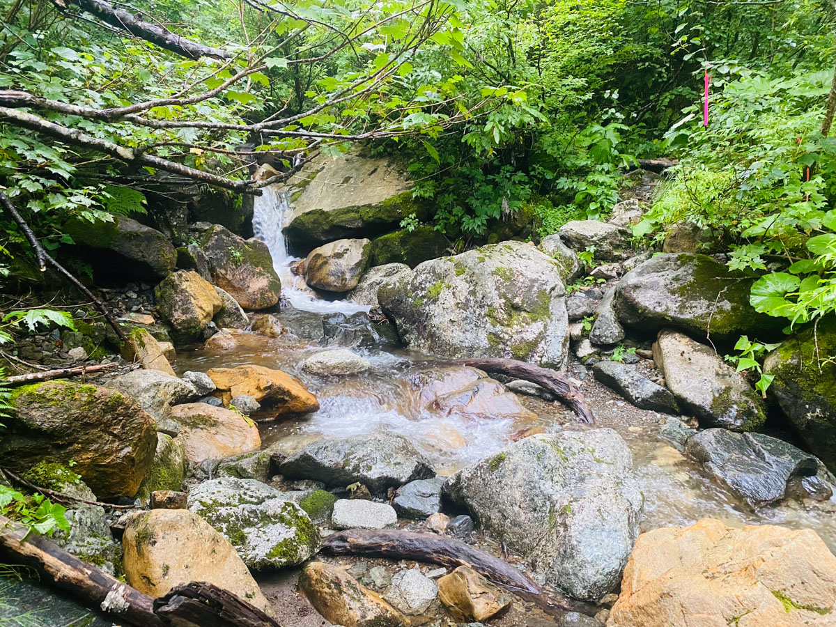 百名山・幌尻岳（北海道）日帰り登山日記