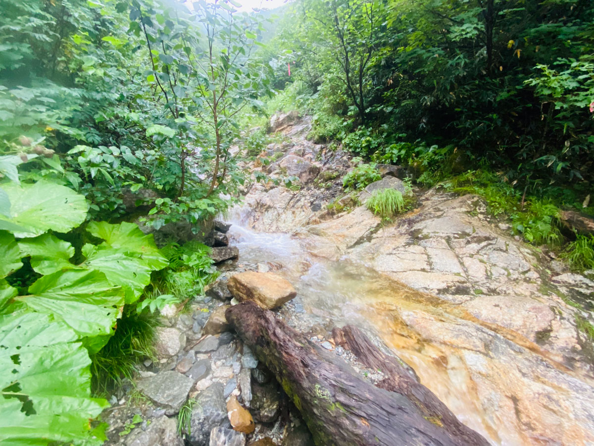 百名山・幌尻岳（北海道）日帰り登山日記