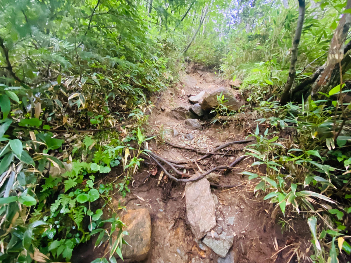 百名山・幌尻岳（北海道）日帰り登山日記