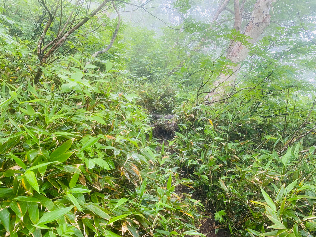 百名山・幌尻岳（北海道）日帰り登山日記