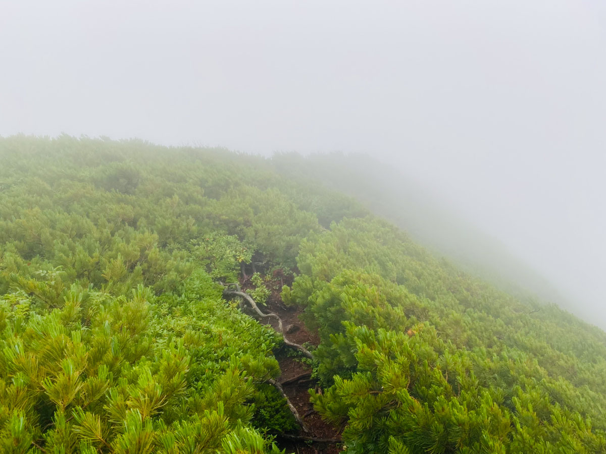 百名山・幌尻岳（北海道）日帰り登山日記