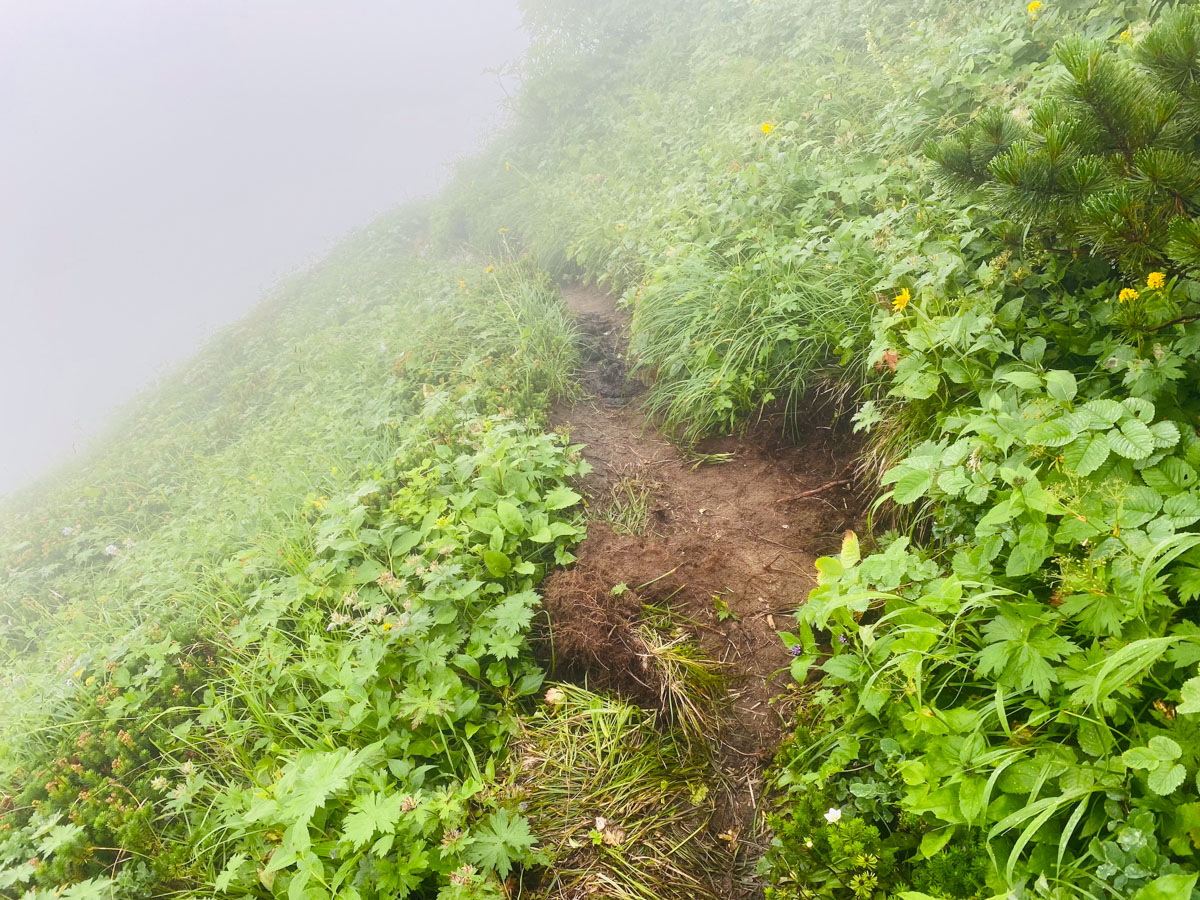 百名山・幌尻岳（北海道）日帰り登山日記