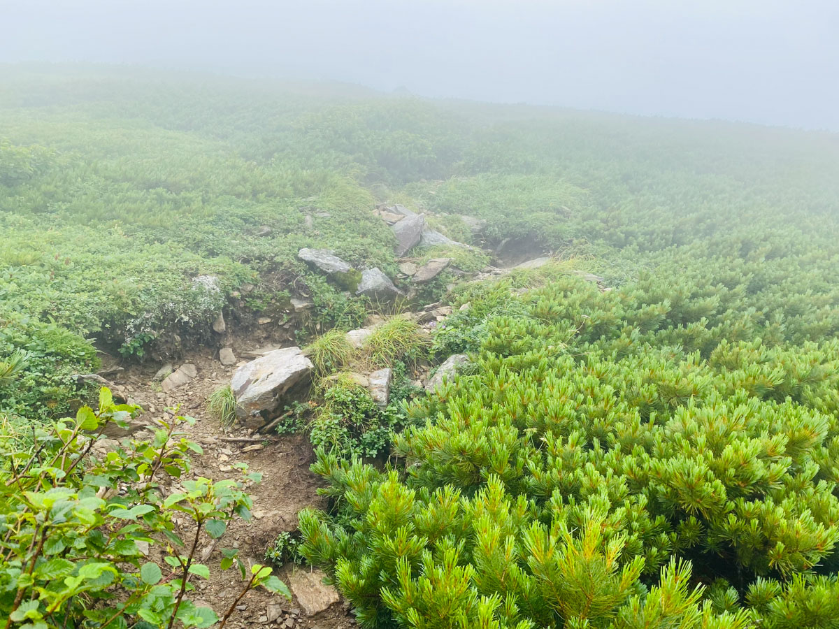 百名山・幌尻岳（北海道）日帰り登山日記