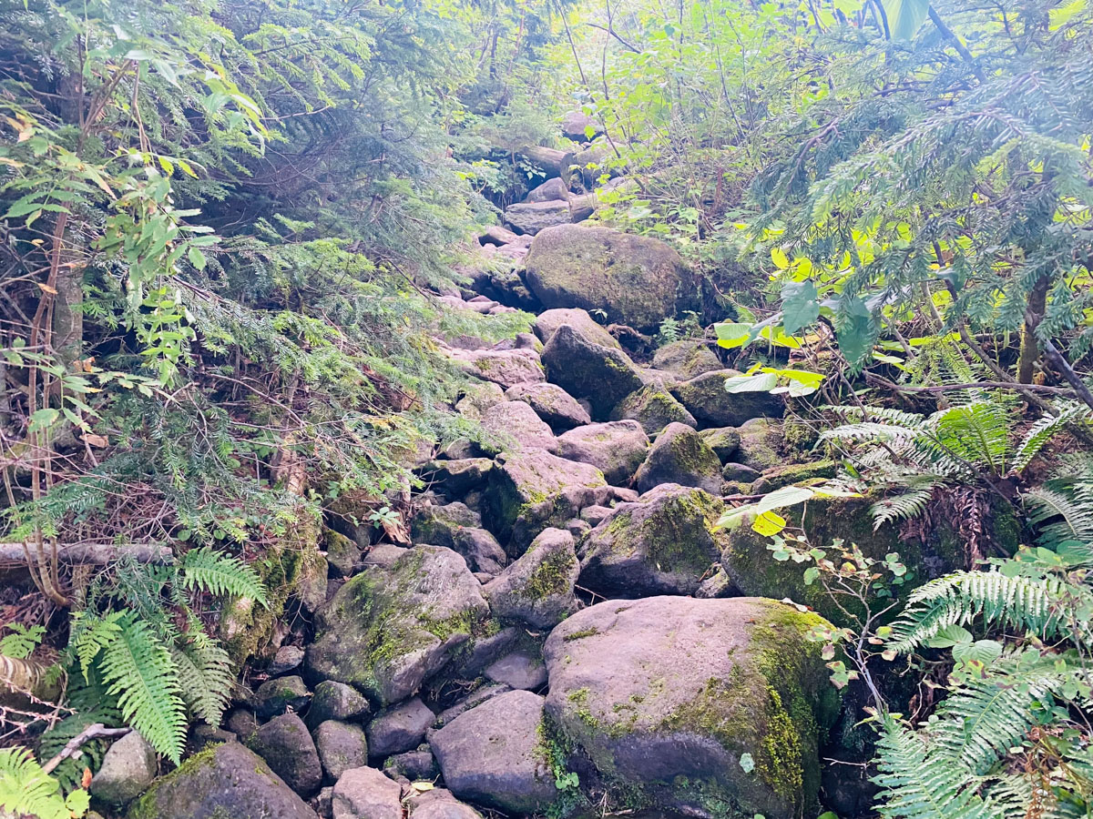 北アルプス（薬師岳、雲ノ平、水晶岳、鷲羽岳、三俣蓮華岳、黒部五郎岳）テント泊縦走登山日記