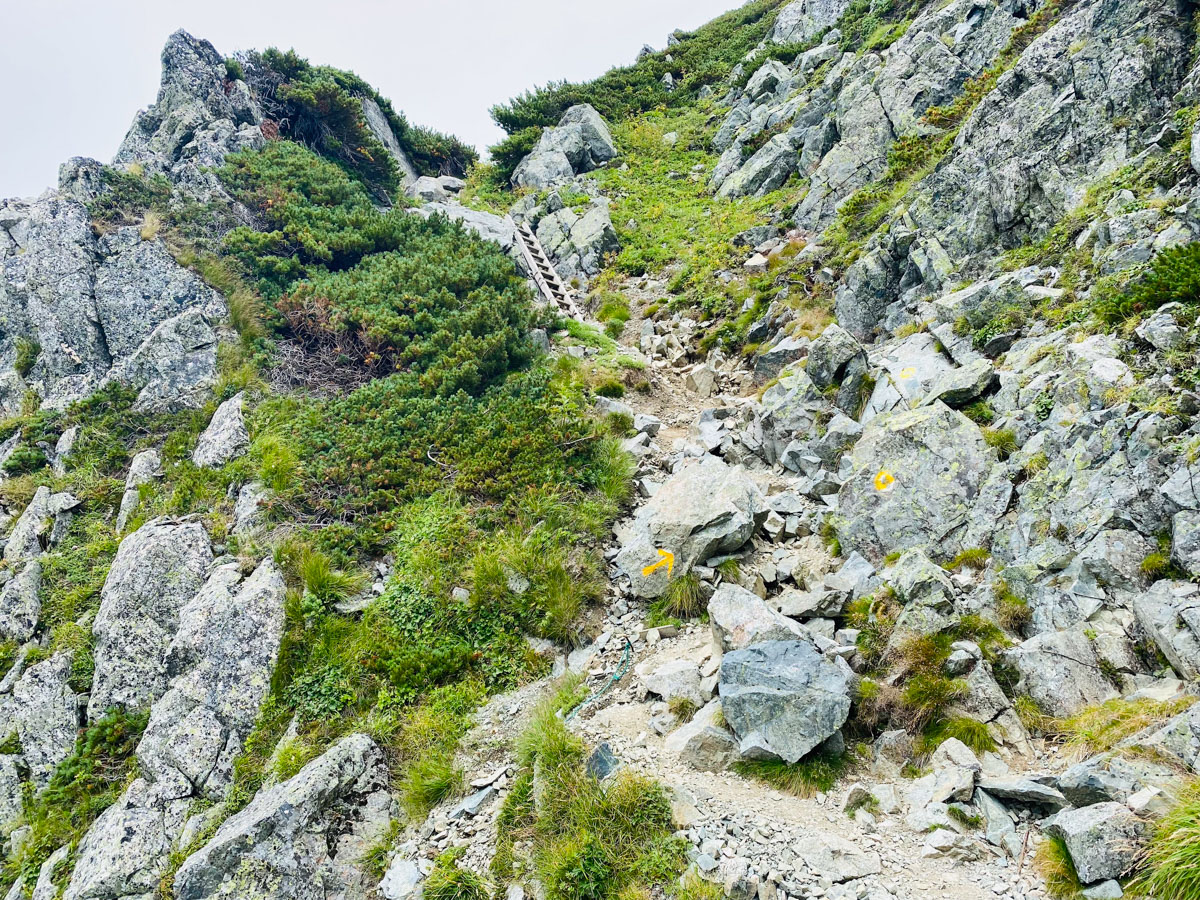 北アルプス（薬師岳、雲ノ平、水晶岳、鷲羽岳、三俣蓮華岳、黒部五郎岳）テント泊縦走登山日記