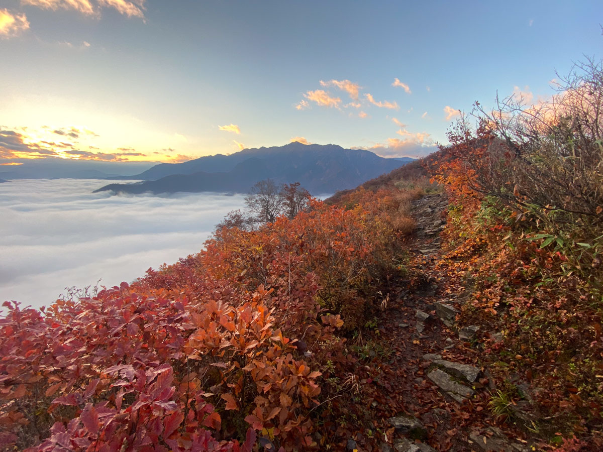 百名山・越後駒ヶ岳・日帰り登山日記