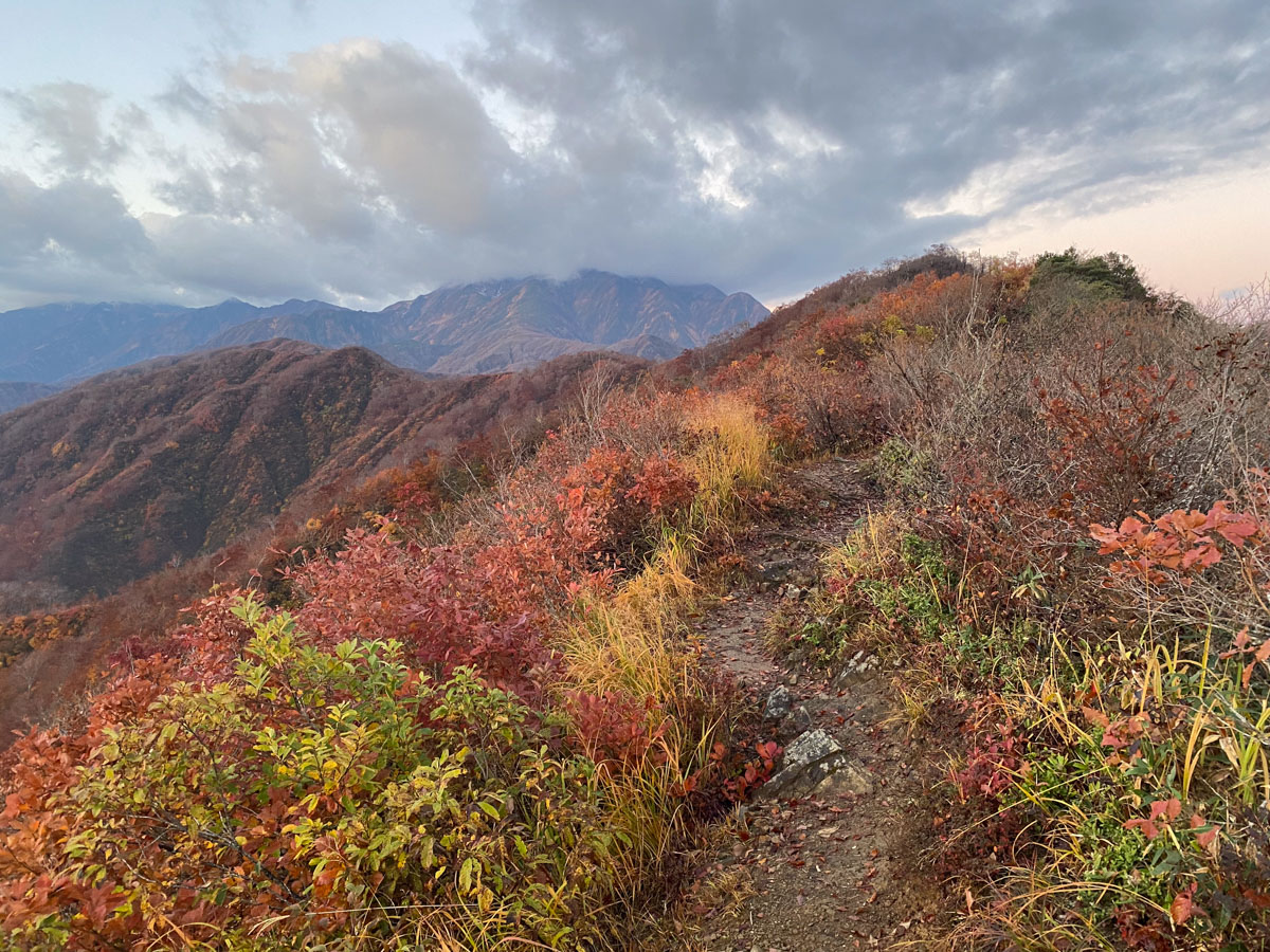 百名山・越後駒ヶ岳・日帰り登山日記