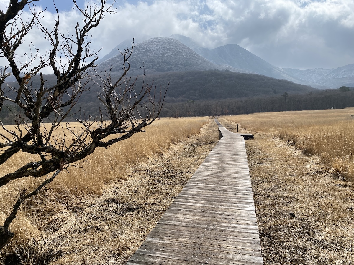 ダテ原湿原（百名山・久住山・テント泊登山日記・九州大分県）