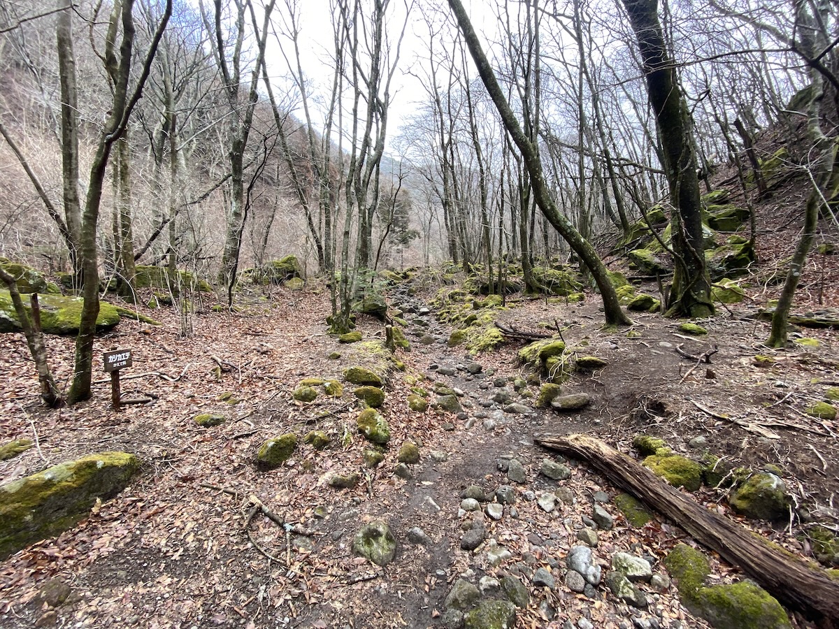 百名山・久住山・テント泊登山日記・九州大分県