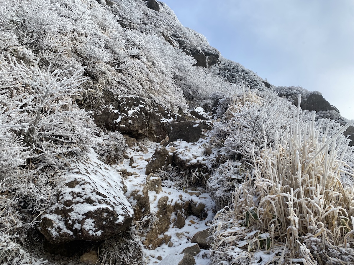 百名山・久住山・登山日記（法華院温泉山荘テント泊）