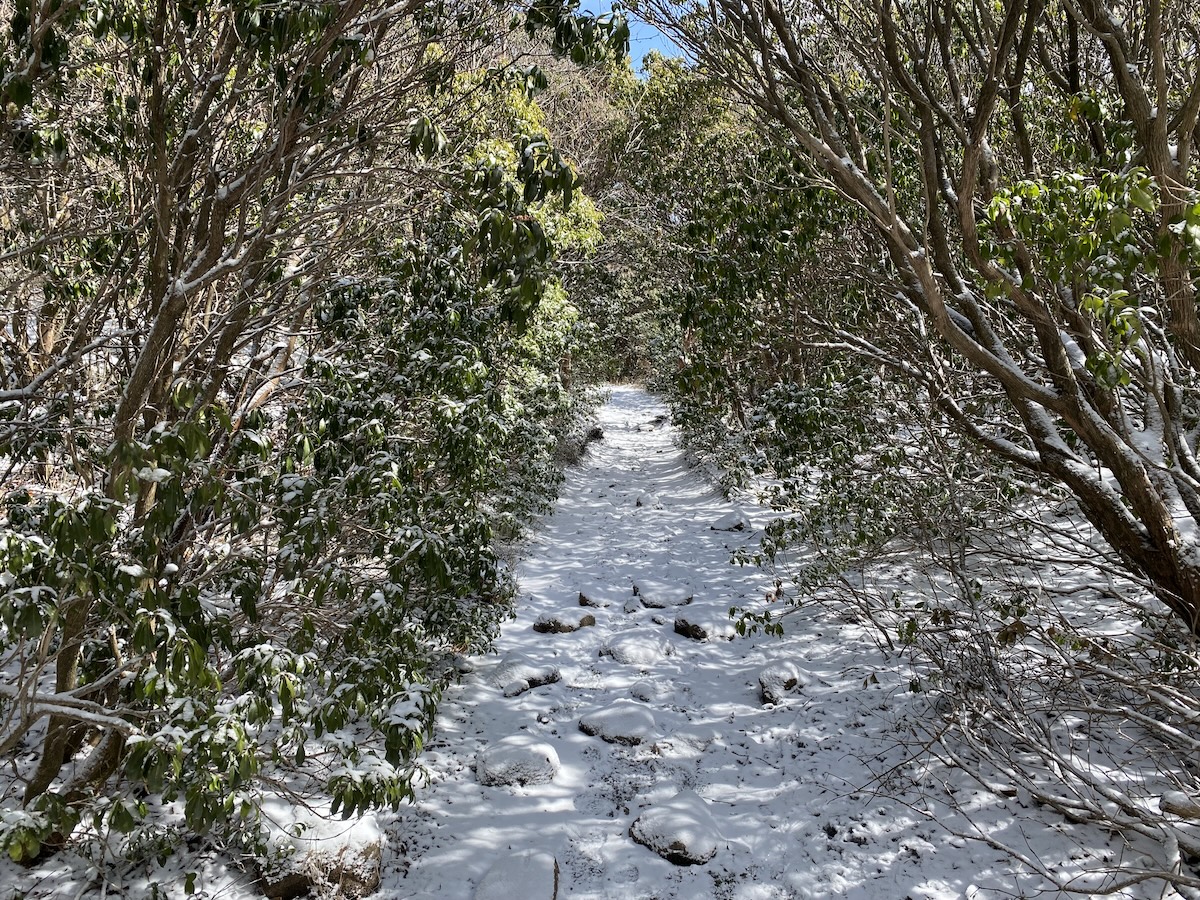 百名山・久住山・登山日記（法華院温泉山荘テント泊）