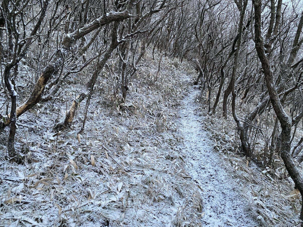 百名山・久住山・登山日記（法華院温泉山荘テント泊）