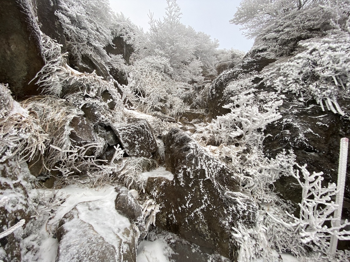 百名山・久住山・登山日記（法華院温泉山荘テント泊）