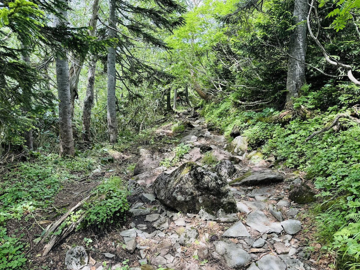 白馬岳、杓子岳、白馬鑓ヶ岳（蓮華温泉から日帰り登山）