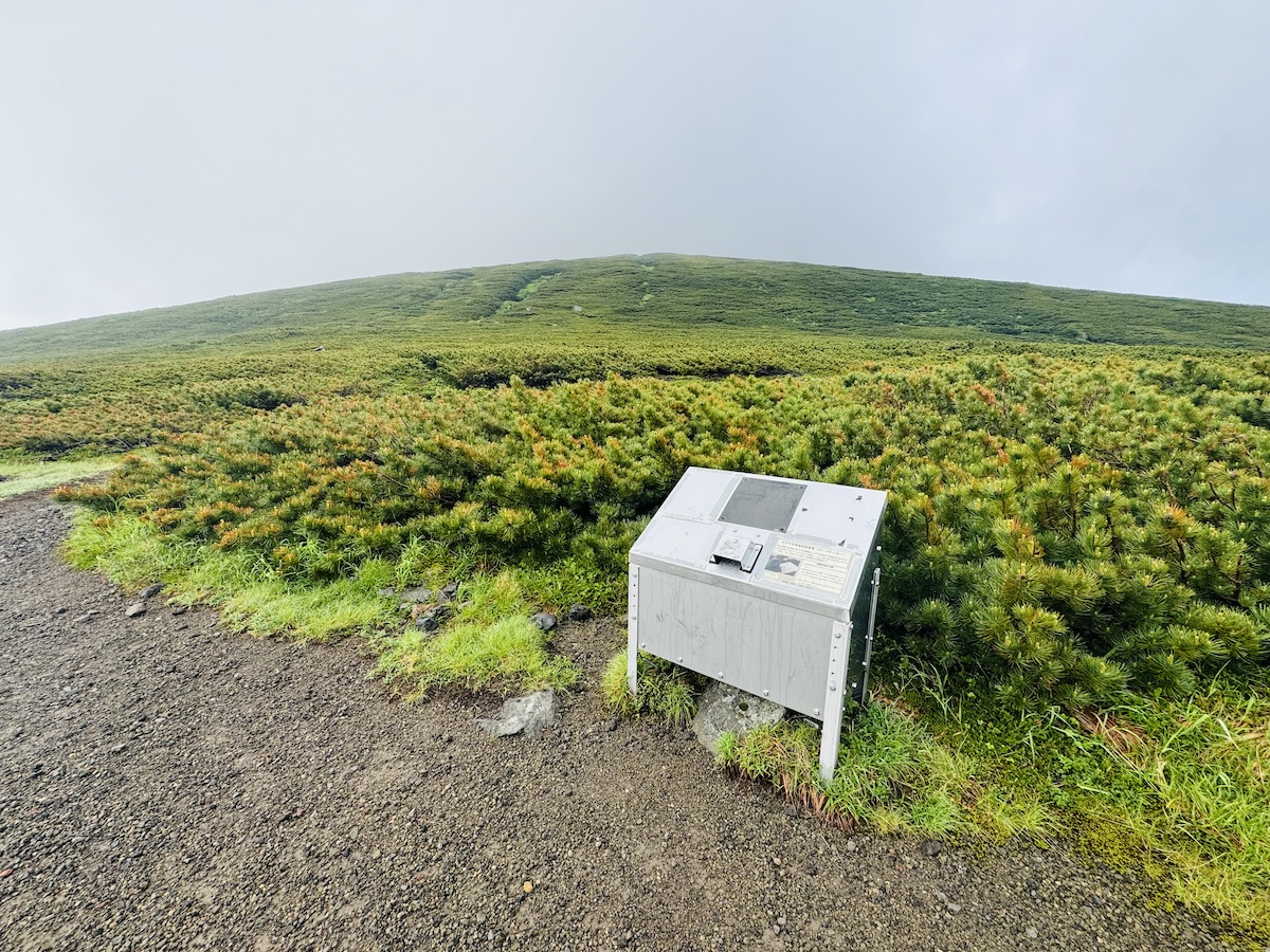 登山中のクマ対策と遭遇時の対処法